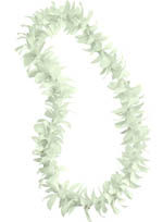 single white orchid lei